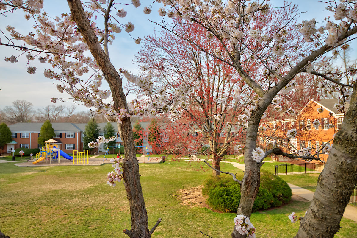 Photos and Video of Kingsley Commons Townhouses in Falls Church, VA